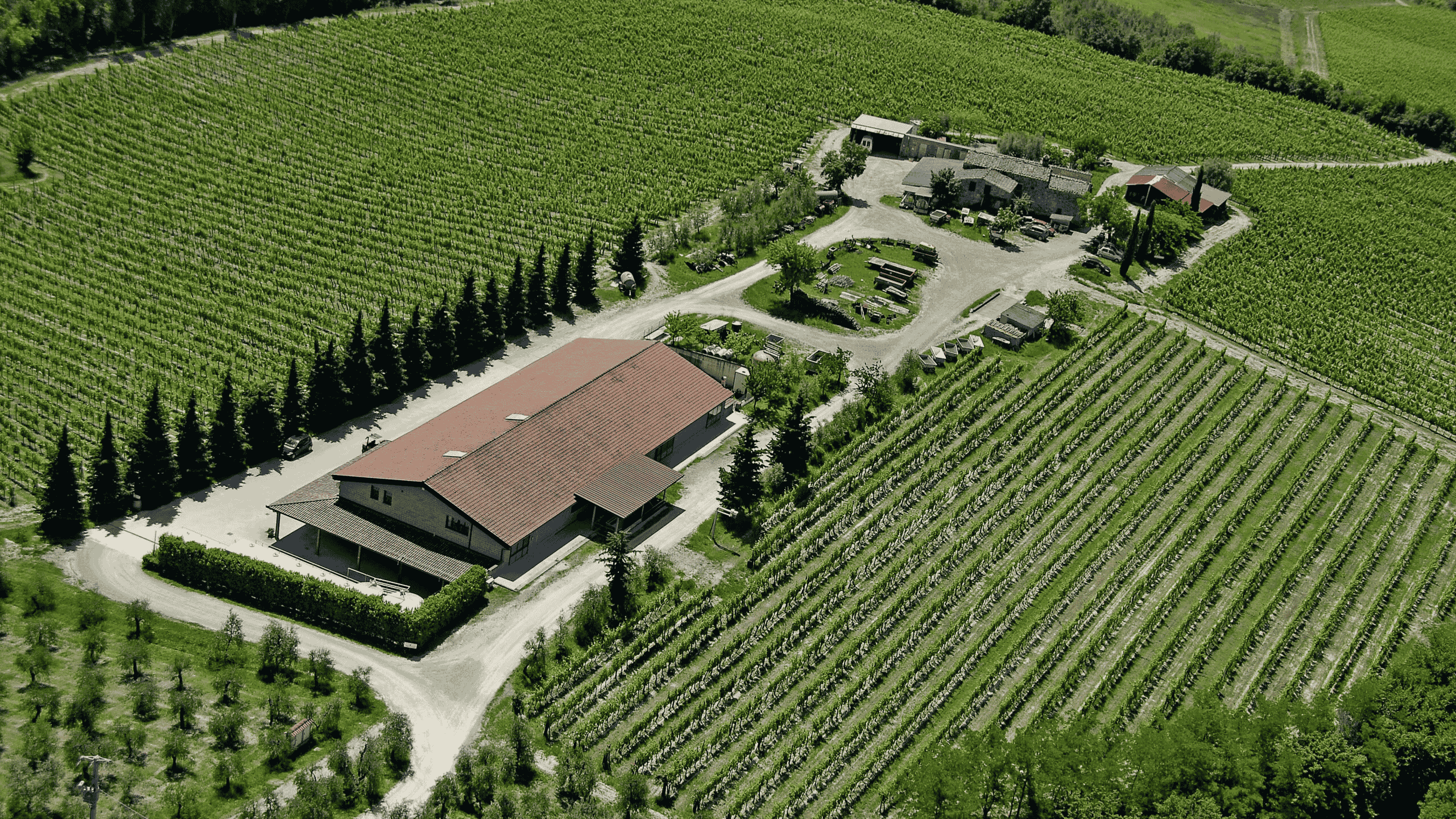 Progetto senza titolo (40)